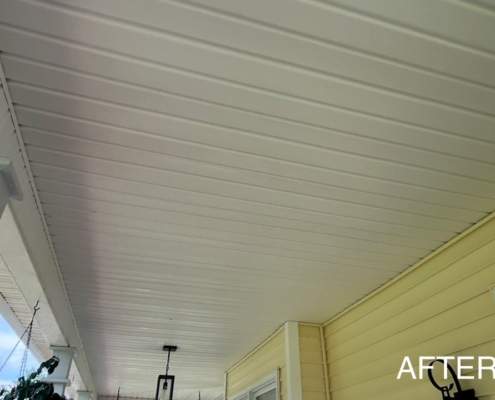 Spartanburg exterior cleaning company