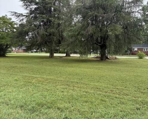 Spartanburg lawn care company