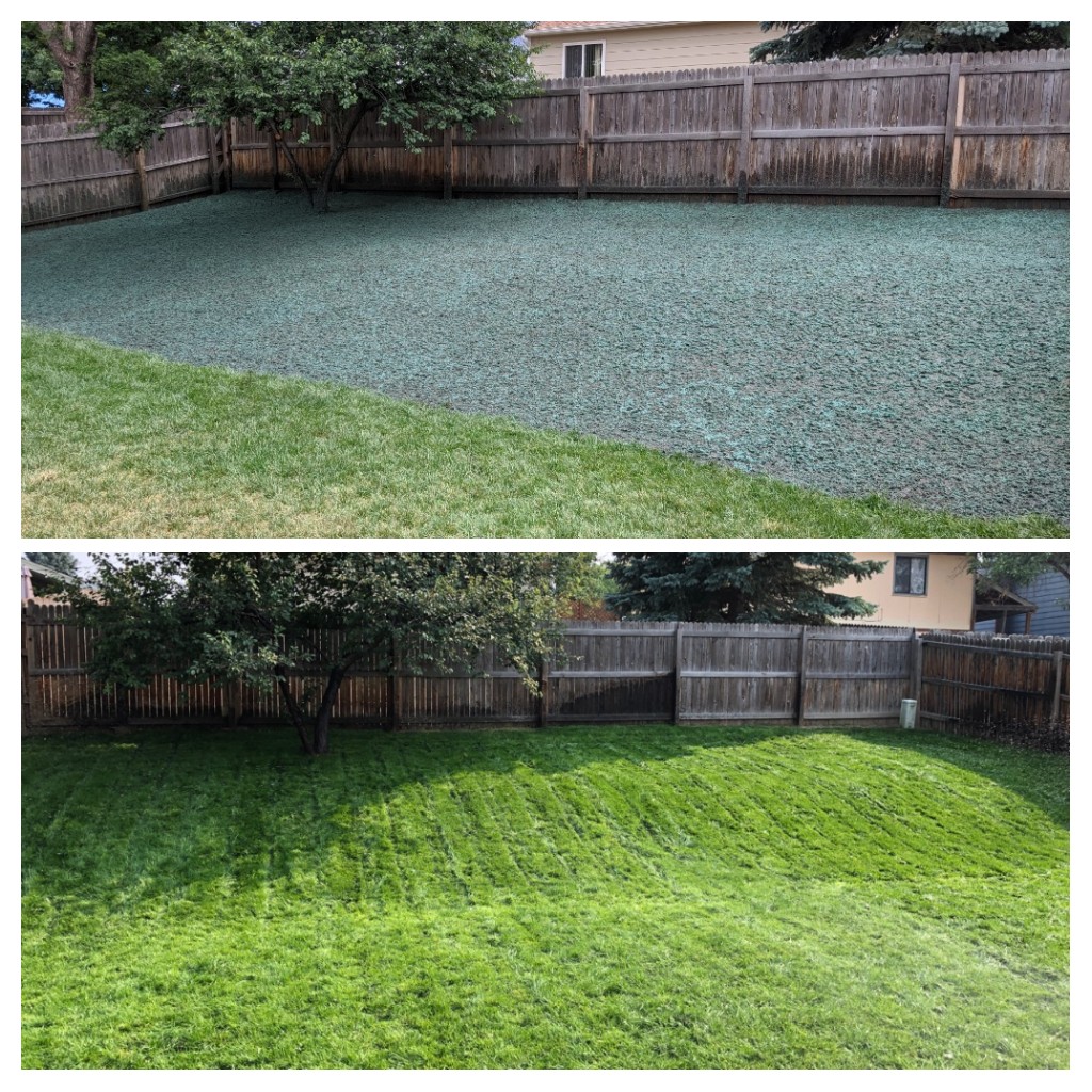 landscape design in fort mills